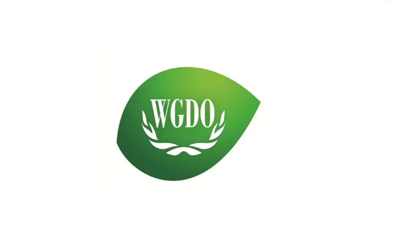 Liu Weibing Honored with International Contribution Award in Green Design